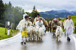 Appenzell, Appenzell Ausserrohden, Appenzeller Hinterland, Brauchtum, Landwirtschaft, Ostschweiz, Schweiz, Schönengrund, Sennen, Suisse, Switzerland, Tracht, Viehschau, Wirtschaft, tradition