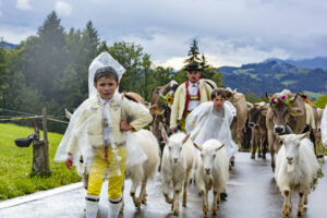 Appenzell, Appenzell Ausserrohden, Appenzeller Hinterland, Brauchtum, Landwirtschaft, Ostschweiz, Schweiz, Schönengrund, Sennen, Suisse, Switzerland, Tracht, Viehschau, Wirtschaft, tradition