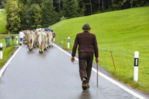 Appenzell, Appenzell Ausserrohden, Appenzeller Hinterland, Brauchtum, Landwirtschaft, Ostschweiz, Schweiz, Schönengrund, Sennen, Suisse, Switzerland, Tracht, Viehschau, Wirtschaft, tradition