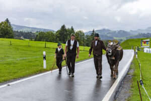 Appenzell, Appenzell Ausserrohden, Appenzeller Hinterland, Brauchtum, Landwirtschaft, Ostschweiz, Schweiz, Schönengrund, Sennen, Suisse, Switzerland, Tracht, Viehschau, Wirtschaft, tradition