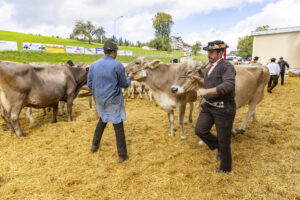 Appenzell, Appenzell Ausserrohden, Appenzeller Hinterland, Brauchtum, Landwirtschaft, Ostschweiz, Schweiz, Schönengrund, Sennen, Suisse, Switzerland, Tracht, Viehschau, Wirtschaft, tradition