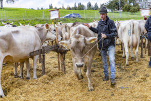 Appenzell, Appenzell Ausserrohden, Appenzeller Hinterland, Brauchtum, Landwirtschaft, Ostschweiz, Schweiz, Schönengrund, Sennen, Suisse, Switzerland, Tracht, Viehschau, Wirtschaft, tradition