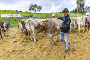 Appenzell, Appenzell Ausserrohden, Appenzeller Hinterland, Brauchtum, Landwirtschaft, Ostschweiz, Schweiz, Schönengrund, Sennen, Suisse, Switzerland, Tracht, Viehschau, Wirtschaft, tradition