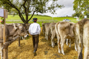 Appenzell, Appenzell Ausserrohden, Appenzeller Hinterland, Brauchtum, Landwirtschaft, Ostschweiz, Schweiz, Schönengrund, Sennen, Suisse, Switzerland, Tracht, Viehschau, Wirtschaft, tradition