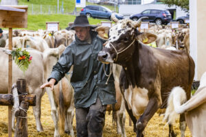 Appenzell, Appenzell Ausserrohden, Appenzeller Hinterland, Brauchtum, Landwirtschaft, Ostschweiz, Schweiz, Schönengrund, Sennen, Suisse, Switzerland, Tracht, Viehschau, Wirtschaft, tradition