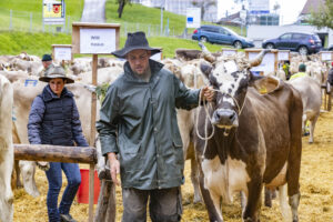 Appenzell, Appenzell Ausserrohden, Appenzeller Hinterland, Brauchtum, Landwirtschaft, Ostschweiz, Schweiz, Schönengrund, Sennen, Suisse, Switzerland, Tracht, Viehschau, Wirtschaft, tradition