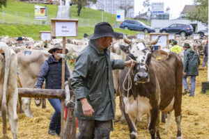 Appenzell, Appenzell Ausserrohden, Appenzeller Hinterland, Brauchtum, Landwirtschaft, Ostschweiz, Schweiz, Schönengrund, Sennen, Suisse, Switzerland, Tracht, Viehschau, Wirtschaft, tradition