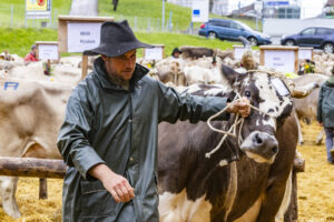 Appenzell, Appenzell Ausserrohden, Appenzeller Hinterland, Brauchtum, Landwirtschaft, Ostschweiz, Schweiz, Schönengrund, Sennen, Suisse, Switzerland, Tracht, Viehschau, Wirtschaft, tradition