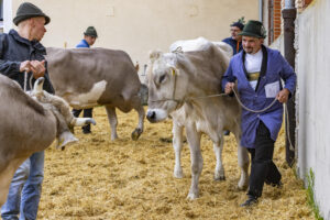 Appenzell, Appenzell Ausserrohden, Appenzeller Hinterland, Brauchtum, Landwirtschaft, Ostschweiz, Schweiz, Schönengrund, Sennen, Suisse, Switzerland, Tracht, Viehschau, Wirtschaft, tradition
