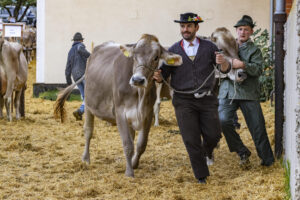 Appenzell, Appenzell Ausserrohden, Appenzeller Hinterland, Brauchtum, Landwirtschaft, Ostschweiz, Schweiz, Schönengrund, Sennen, Suisse, Switzerland, Tracht, Viehschau, Wirtschaft, tradition