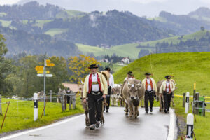 Appenzell, Appenzell Ausserrohden, Appenzeller Hinterland, Brauchtum, Landwirtschaft, Ostschweiz, Schweiz, Schönengrund, Sennen, Suisse, Switzerland, Tracht, Viehschau, Wirtschaft, tradition