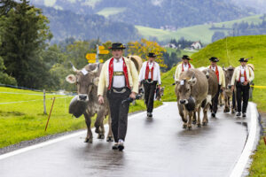 Appenzell, Appenzell Ausserrohden, Appenzeller Hinterland, Brauchtum, Landwirtschaft, Ostschweiz, Schweiz, Schönengrund, Sennen, Suisse, Switzerland, Tracht, Viehschau, Wirtschaft, tradition