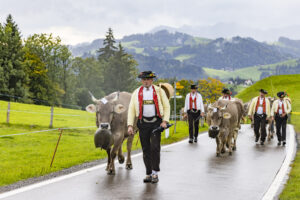Appenzell, Appenzell Ausserrohden, Appenzeller Hinterland, Brauchtum, Landwirtschaft, Ostschweiz, Schweiz, Schönengrund, Sennen, Suisse, Switzerland, Tracht, Viehschau, Wirtschaft, tradition
