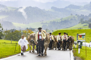 Appenzell, Appenzell Ausserrohden, Appenzeller Hinterland, Brauchtum, Landwirtschaft, Ostschweiz, Schweiz, Schönengrund, Sennen, Suisse, Switzerland, Tracht, Viehschau, Wirtschaft, tradition