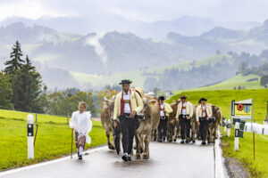 Appenzell, Appenzell Ausserrohden, Appenzeller Hinterland, Brauchtum, Landwirtschaft, Ostschweiz, Schweiz, Schönengrund, Sennen, Suisse, Switzerland, Tracht, Viehschau, Wirtschaft, tradition