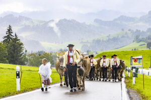 Appenzell, Appenzell Ausserrohden, Appenzeller Hinterland, Brauchtum, Landwirtschaft, Ostschweiz, Schweiz, Schönengrund, Sennen, Suisse, Switzerland, Tracht, Viehschau, Wirtschaft, tradition