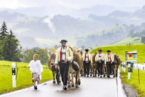 Appenzell, Appenzell Ausserrohden, Appenzeller Hinterland, Brauchtum, Landwirtschaft, Ostschweiz, Schweiz, Schönengrund, Sennen, Suisse, Switzerland, Tracht, Viehschau, Wirtschaft, tradition