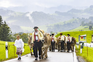 Appenzell, Appenzell Ausserrohden, Appenzeller Hinterland, Brauchtum, Landwirtschaft, Ostschweiz, Schweiz, Schönengrund, Sennen, Suisse, Switzerland, Tracht, Viehschau, Wirtschaft, tradition