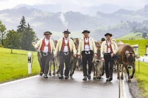 Appenzell, Appenzell Ausserrohden, Appenzeller Hinterland, Brauchtum, Landwirtschaft, Ostschweiz, Schweiz, Schönengrund, Sennen, Suisse, Switzerland, Tracht, Viehschau, Wirtschaft, tradition