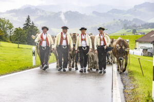 Appenzell, Appenzell Ausserrohden, Appenzeller Hinterland, Brauchtum, Landwirtschaft, Ostschweiz, Schweiz, Schönengrund, Sennen, Suisse, Switzerland, Tracht, Viehschau, Wirtschaft, tradition