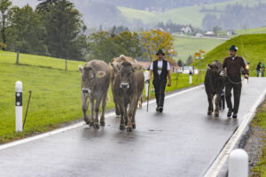 Appenzell, Appenzell Ausserrohden, Appenzeller Hinterland, Brauchtum, Landwirtschaft, Ostschweiz, Schweiz, Schönengrund, Sennen, Suisse, Switzerland, Tracht, Viehschau, Wirtschaft, tradition