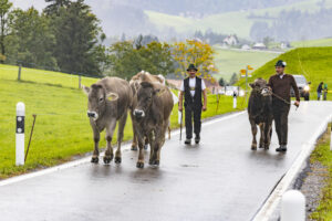 Appenzell, Appenzell Ausserrohden, Appenzeller Hinterland, Brauchtum, Landwirtschaft, Ostschweiz, Schweiz, Schönengrund, Sennen, Suisse, Switzerland, Tracht, Viehschau, Wirtschaft, tradition