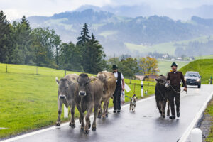 Appenzell, Appenzell Ausserrohden, Appenzeller Hinterland, Brauchtum, Landwirtschaft, Ostschweiz, Schweiz, Schönengrund, Sennen, Suisse, Switzerland, Tracht, Viehschau, Wirtschaft, tradition