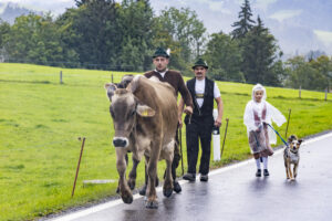 Appenzell, Appenzell Ausserrohden, Appenzeller Hinterland, Brauchtum, Landwirtschaft, Ostschweiz, Schweiz, Schönengrund, Sennen, Suisse, Switzerland, Tracht, Viehschau, Wirtschaft, tradition