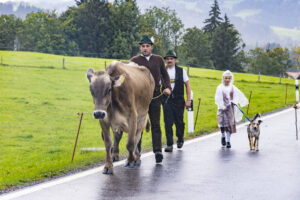 Appenzell, Appenzell Ausserrohden, Appenzeller Hinterland, Brauchtum, Landwirtschaft, Ostschweiz, Schweiz, Schönengrund, Sennen, Suisse, Switzerland, Tracht, Viehschau, Wirtschaft, tradition