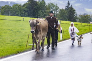 Appenzell, Appenzell Ausserrohden, Appenzeller Hinterland, Brauchtum, Landwirtschaft, Ostschweiz, Schweiz, Schönengrund, Sennen, Suisse, Switzerland, Tracht, Viehschau, Wirtschaft, tradition
