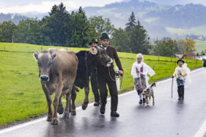 Appenzell, Appenzell Ausserrohden, Appenzeller Hinterland, Brauchtum, Landwirtschaft, Ostschweiz, Schweiz, Schönengrund, Sennen, Suisse, Switzerland, Tracht, Viehschau, Wirtschaft, tradition