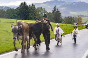 Appenzell, Appenzell Ausserrohden, Appenzeller Hinterland, Brauchtum, Landwirtschaft, Ostschweiz, Schweiz, Schönengrund, Sennen, Suisse, Switzerland, Tracht, Viehschau, Wirtschaft, tradition