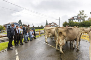 Appenzell, Appenzell Ausserrohden, Brauchtum, Landwirtschaft, Ostschweiz, Schweiz, Speicher, Suisse, Switzerland, Viehschau, Wirtschaft