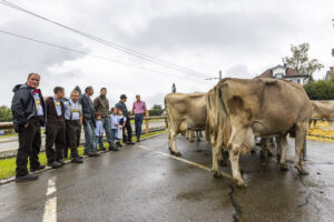 Appenzell, Appenzell Ausserrohden, Brauchtum, Landwirtschaft, Ostschweiz, Schweiz, Speicher, Suisse, Switzerland, Viehschau, Wirtschaft