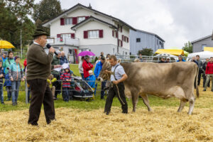 Appenzell, Appenzell Ausserrohden, Brauchtum, Landwirtschaft, Ostschweiz, Schweiz, Speicher, Suisse, Switzerland, Viehschau, Wirtschaft