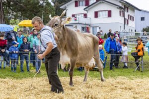 Appenzell, Appenzell Ausserrohden, Brauchtum, Landwirtschaft, Ostschweiz, Schweiz, Speicher, Suisse, Switzerland, Viehschau, Wirtschaft