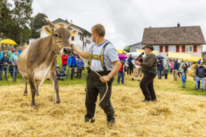 Appenzell, Appenzell Ausserrohden, Brauchtum, Landwirtschaft, Ostschweiz, Schweiz, Speicher, Suisse, Switzerland, Viehschau, Wirtschaft