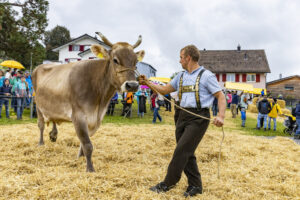Appenzell, Appenzell Ausserrohden, Brauchtum, Landwirtschaft, Ostschweiz, Schweiz, Speicher, Suisse, Switzerland, Viehschau, Wirtschaft