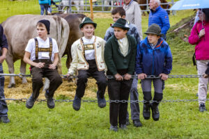 Appenzell, Appenzell Ausserrohden, Brauchtum, Landwirtschaft, Ostschweiz, Schweiz, Speicher, Suisse, Switzerland, Viehschau, Wirtschaft