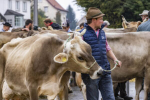 Appenzell, Appenzell Ausserrohden, Brauchtum, Landwirtschaft, Ostschweiz, Schweiz, Speicher, Suisse, Switzerland, Viehschau, Wirtschaft