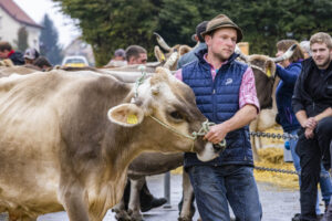 Appenzell, Appenzell Ausserrohden, Brauchtum, Landwirtschaft, Ostschweiz, Schweiz, Speicher, Suisse, Switzerland, Viehschau, Wirtschaft