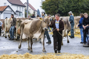 Appenzell, Appenzell Ausserrohden, Brauchtum, Landwirtschaft, Ostschweiz, Schweiz, Speicher, Suisse, Switzerland, Viehschau, Wirtschaft