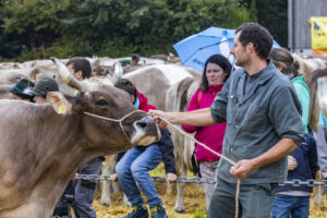 Appenzell, Appenzell Ausserrohden, Brauchtum, Landwirtschaft, Ostschweiz, Schweiz, Speicher, Suisse, Switzerland, Viehschau, Wirtschaft