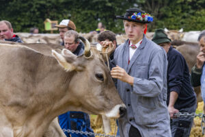 Appenzell, Appenzell Ausserrohden, Brauchtum, Landwirtschaft, Ostschweiz, Schweiz, Speicher, Suisse, Switzerland, Viehschau, Wirtschaft