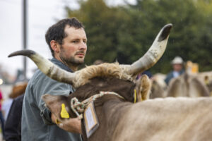 Appenzell, Appenzell Ausserrohden, Brauchtum, Landwirtschaft, Ostschweiz, Schweiz, Speicher, Suisse, Switzerland, Viehschau, Wirtschaft