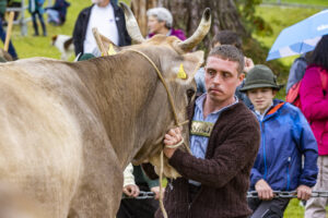 Appenzell, Appenzell Ausserrohden, Brauchtum, Landwirtschaft, Ostschweiz, Schweiz, Speicher, Suisse, Switzerland, Viehschau, Wirtschaft