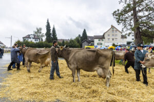 Appenzell, Appenzell Ausserrohden, Brauchtum, Landwirtschaft, Ostschweiz, Schweiz, Speicher, Suisse, Switzerland, Viehschau, Wirtschaft