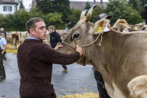 Appenzell, Appenzell Ausserrohden, Brauchtum, Landwirtschaft, Ostschweiz, Schweiz, Speicher, Suisse, Switzerland, Viehschau, Wirtschaft