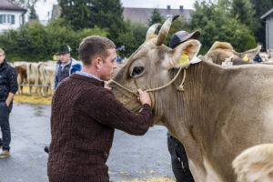 Appenzell, Appenzell Ausserrohden, Brauchtum, Landwirtschaft, Ostschweiz, Schweiz, Speicher, Suisse, Switzerland, Viehschau, Wirtschaft
