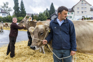 Appenzell, Appenzell Ausserrohden, Brauchtum, Landwirtschaft, Ostschweiz, Schweiz, Speicher, Suisse, Switzerland, Viehschau, Wirtschaft